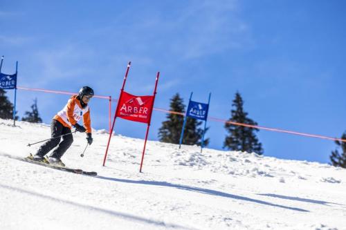 02 Skirennen-93