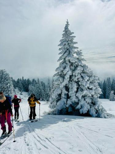 IMG-20250319-WA0001