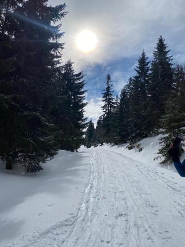 Skitour 2023